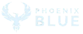 Phoenix Security